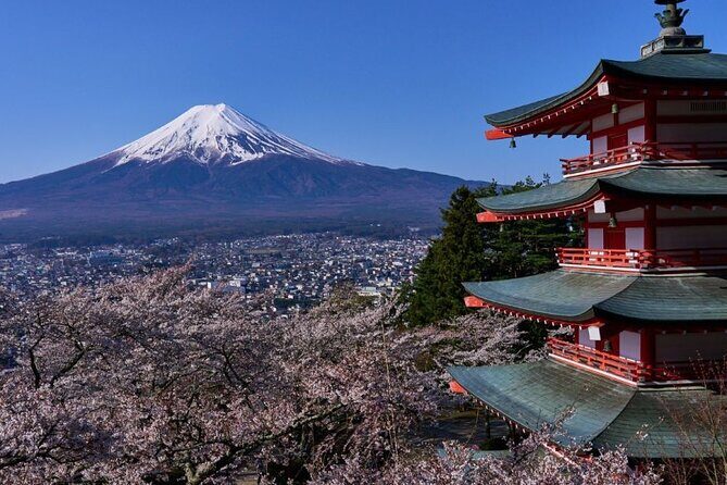 Private tour to Mount Fuji with an English driver from Tokyo - Key highlights you’ll care about