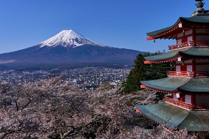 Private tour to Mount Fuji with an English driver from Tokyo - Why This Tokyo-to-Mount-Fuji Day Trip Feels Like a Win