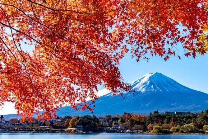 Private tour to Mount Fuji with an English driver from Tokyo - Your Guide Matters: The Mian Timing Factor