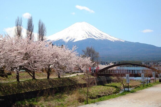 Private tour to Mount Fuji with an English driver from Tokyo - Oshino Hakkai: Ponds, Village Charm, and a Calmer Pace