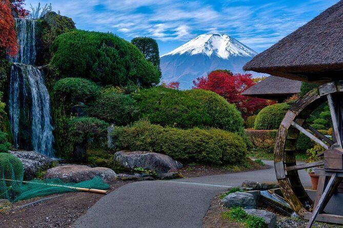 Private tour to Mount Fuji with an English driver from Tokyo - Price and What You Really Pay in Practice