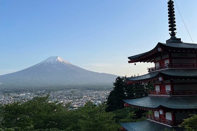 Private Tour to Mt Fuji and Hakone with English Speaking Driver - Price and Logistics: What $495.51 Covers (and What It Doesn’t)
