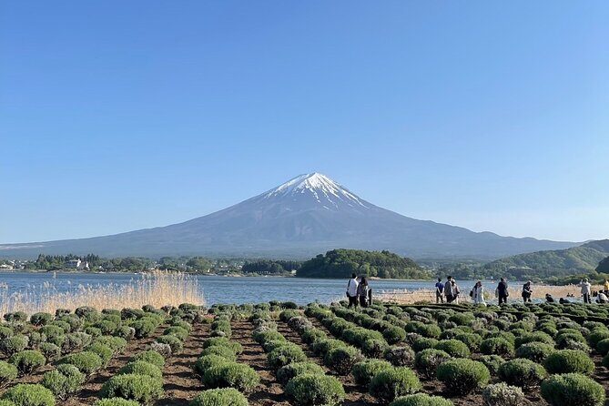 Private Tour to Mt Fuji and Hakone with English Speaking Driver - Stop 1: Tokyo Pickup and Expressway Start