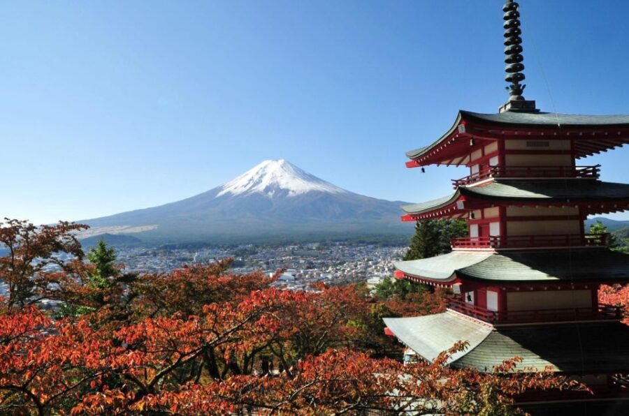 Sightseeing Day Trip to Mount Fuji and Hakone Green Number - Key things you’ll notice on this Mount Fuji and Hakone green-space day