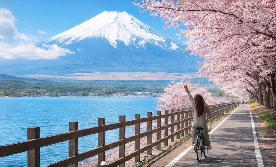 Tokyo: Full-Day Tour of the Six Majestic Spots of Mt Fuji - Higashikawa Clock Shop and the Lawson Fuji-Facing Photo Moment