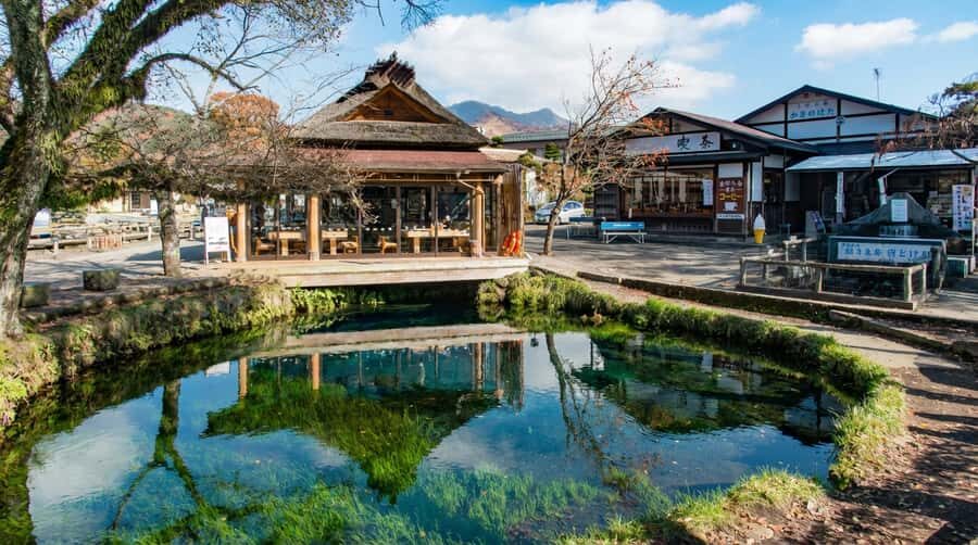 Tokyo: Full-Day Tour of the Six Majestic Spots of Mt Fuji - Lake Kawaguchi and Oishi Park: Floral Seasons That Change the Photo