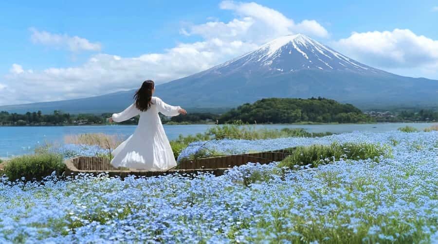Tokyo: Full-Day Tour of the Six Majestic Spots of Mt Fuji - Who This Tour Fits Best (and Who Should Skip It)