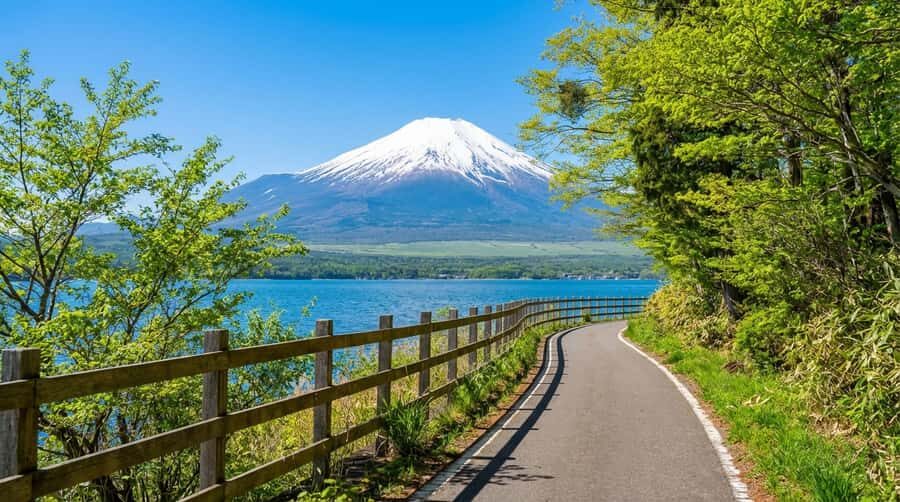 Tokyo: Full-Day Tour of the Six Majestic Spots of Mt Fuji - Morning at Hirano Beach: The Reflection Shot and the Swans