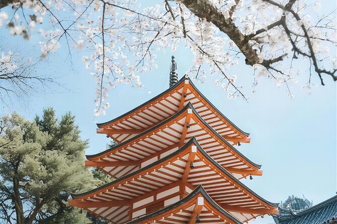 Tokyo: Instagram-Worthy Mt Fuji & Lake Kawaguchiko Day Trip - Timing and pace: what 10 hours really feels like
