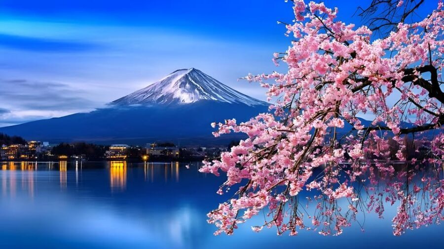 Tokyo: Mount Fuji and Hakone private sightseeing tour - A private van with pickup in Tokyo, Yokohida, Fujiyoshida, or Hakone