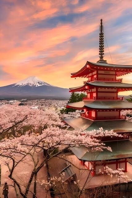 Tokyo: Mount Fuji and Hakone private sightseeing tour - Mt Fuji 5th Station: the ticketed highlight and the altitude goal