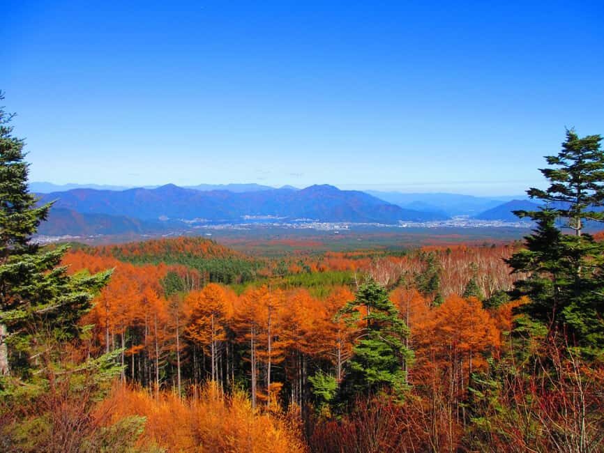 Tokyo: Mount Fuji, Gotemba & Hakone Day Trip by Luxury Bus - A luxury coach day loop from Shinjuku that actually feels efficient