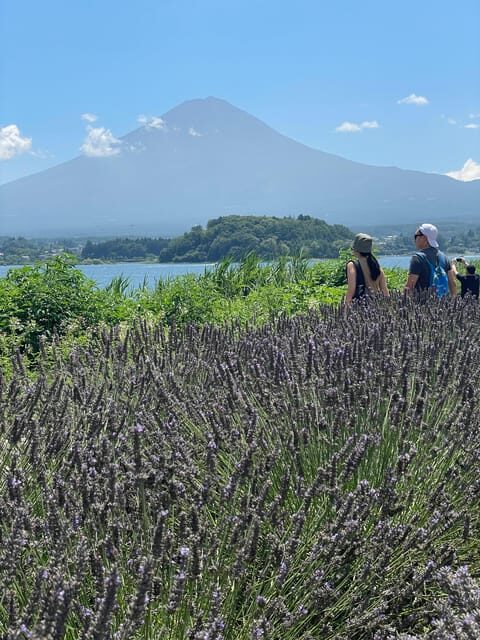 Tokyo: Mount fuji & Hakone Private Day Tour - Key Highlights You’ll Care About