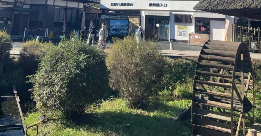 Tokyo: Mount fuji & Hakone Private Day Tour - Arakurayama Sengen Park: The Chureito Pagoda View