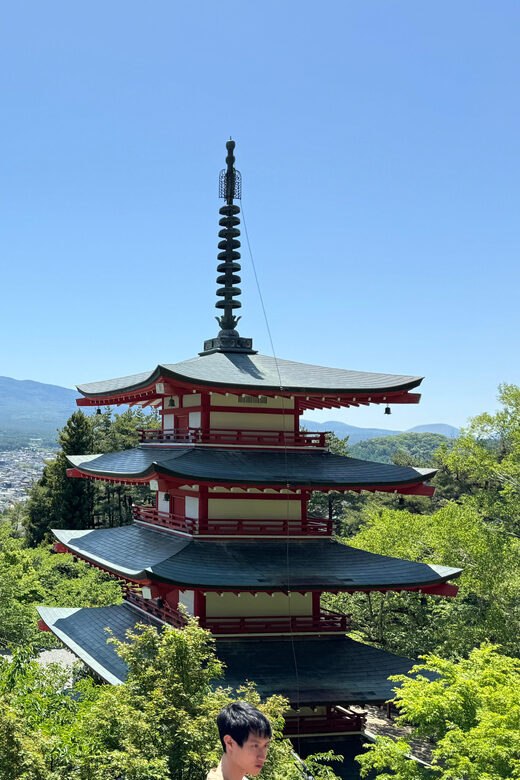 Tokyo: Mount fuji & Hakone Private Day Tour - Price and What You’re Actually Getting for $319
