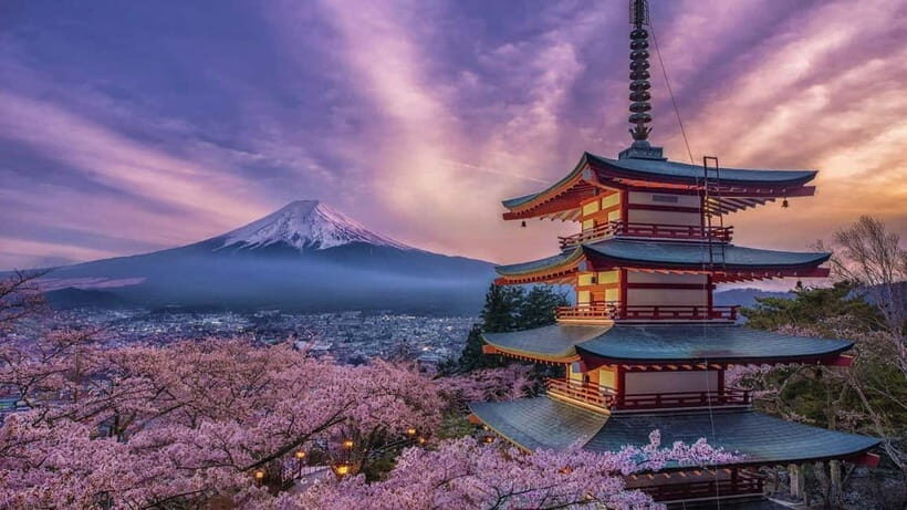 Tokyo: Mount Fuji & Hakone Private Tour with Guide - The 10-hour reality check: long day, tight sequencing, weather matters