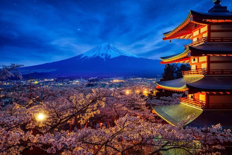 Tokyo: Mount Fuji & Hakone Private Tour with Guide - Customizing on the fly without losing the top sights