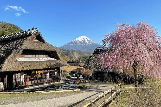 Tokyo: Mount Fuji Must-see Attractions One Day Sightseeing Tour - How a one-day Mount Fuji trip from Tokyo should feel