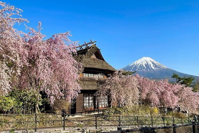 Tokyo: Mount Fuji Must-see Attractions One Day Sightseeing Tour - Stop 4: Kawaguchiko Natural Living Center (the red torii photo trick)