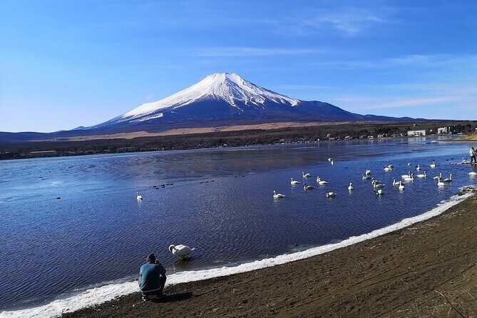 Tokyo: Mount Fuji One Day Trip Lake Kawaguchi & Lake Yamanaka - Lake Yamanaka: a larger lake with a closer feel