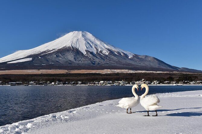 Tokyo: Mount Fuji One Day Trip Lake Kawaguchi & Lake Yamanaka - Oshino Hakkai: eight spring ponds worth slowing down for