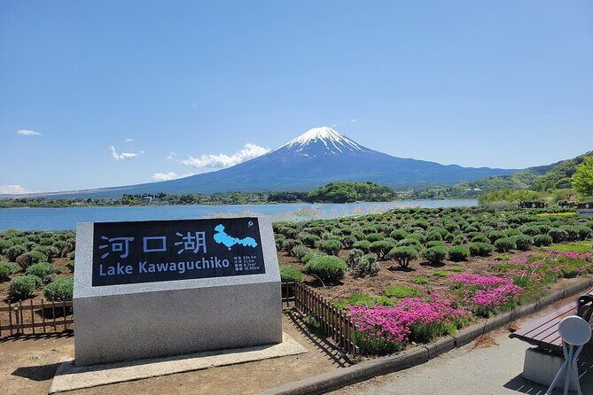 Tokyo: Mount Fuji One Day Trip Lake Kawaguchi & Lake Yamanaka - Lawson photo stop near Fuji: fast, funny, and useful