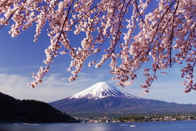 Tokyo: Mount Fuji One Day Trip Lake Kawaguchi & Lake Yamanaka - First stop at Lake Kawaguchiko: the classic Fuji shoreline