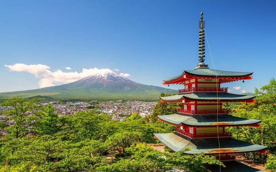 Tokyo: Mount Fuji Private Tour with Scenic Lunch Experience - A Fuji Day That Feels Personal, Not Like a Production Line