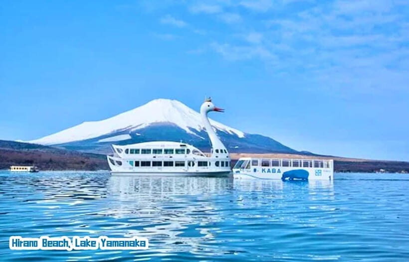 Tokyo: Mt Fuji 3 Lakes Day Trip | 9-Guest Small Group - Choose-One Adventure: Cruise, Ropeway, or Music Forest Museum