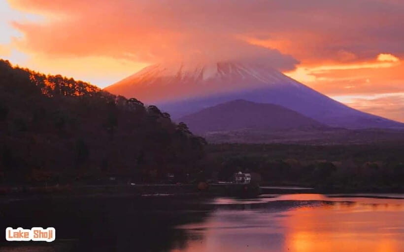 Tokyo: Mt Fuji 3 Lakes Day Trip | 9-Guest Small Group - Hikawa Clock Shop: 1,000+ Clocks in a Retro Alley
