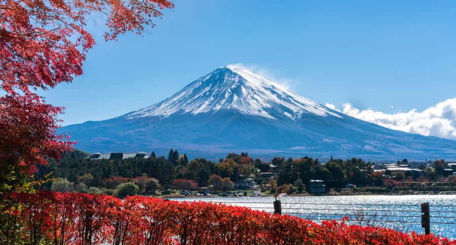 Tokyo: Mt. Fuji 5th Station, Kawaguchiko Tour w/ Cable Car - Kawaguchiko’s Panoramic Ropeway: Fast Ride, Big Views