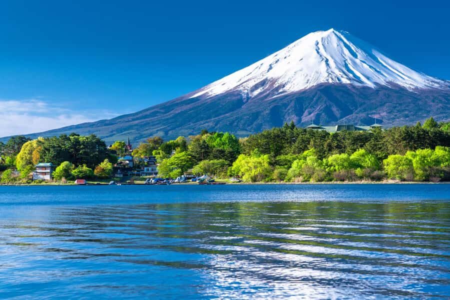 Tokyo: Mt. Fuji 5th Station, Kawaguchiko Tour w/ Cable Car - Price and Value: Does $74 Make Sense?