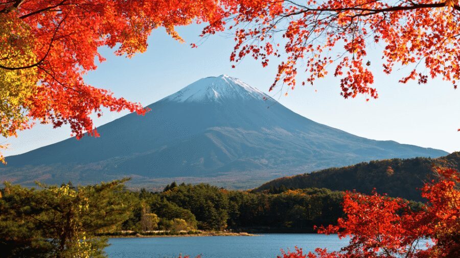 Tokyo: Mt. Fuji Hidden Gems and Aokigahara Forest Tour - Key Things I’d Put on Your Radar