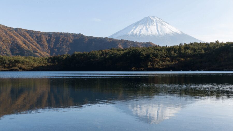 Tokyo: Mt. Fuji Hidden Gems and Aokigahara Forest Tour - What You’ll Pay For Beyond the Tour Price