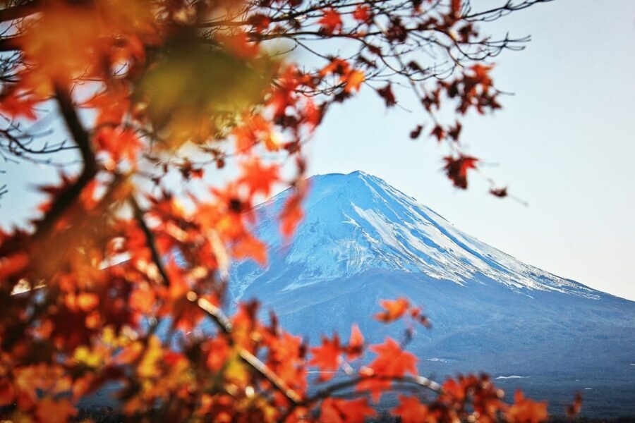 Tokyo: Mt. Fuji Hidden Gems and Aokigahara Forest Tour - Tatego-Hama Beach by Lake Motosuko: Fuji Views Without the Crowds