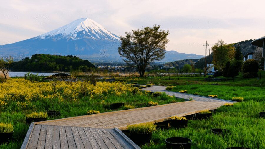 Tokyo: Mt. Fuji Hidden Gems and Aokigahara Forest Tour - Fugaku Wind Cave: Silkworm Eggs, Ventilation, and Geology You Can Feel