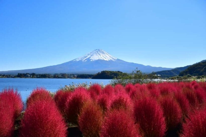 Tokyo: Mt. Fuji Highlights Tour with Lake Kawaguchi Cruise - Price and Value: Why $79 Makes Sense for a Full Fuji Day