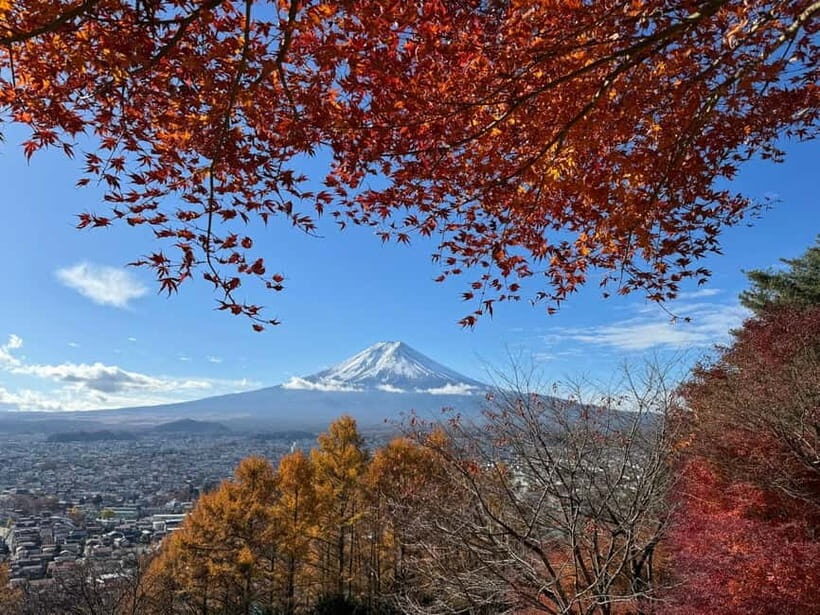 Tokyo: Mt. Fuji Highlights Tour with Lake Kawaguchi Cruise - Arakurayama Sengen Park: 398 Steps to Fuji-Yoshida’s Photo Platform