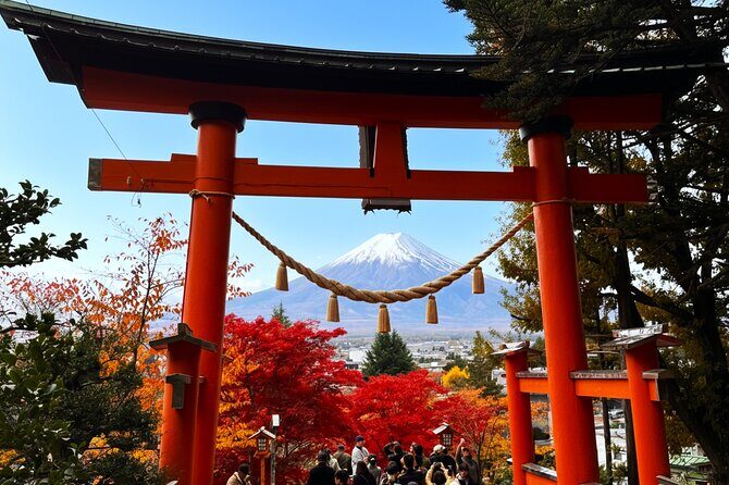 Tokyo: Mt.Fuji & Lake Kawaguchiko 1-Day Bus Tour w/Optional Lunch - Shinjuku to Fuji: what this day-trip really feels like