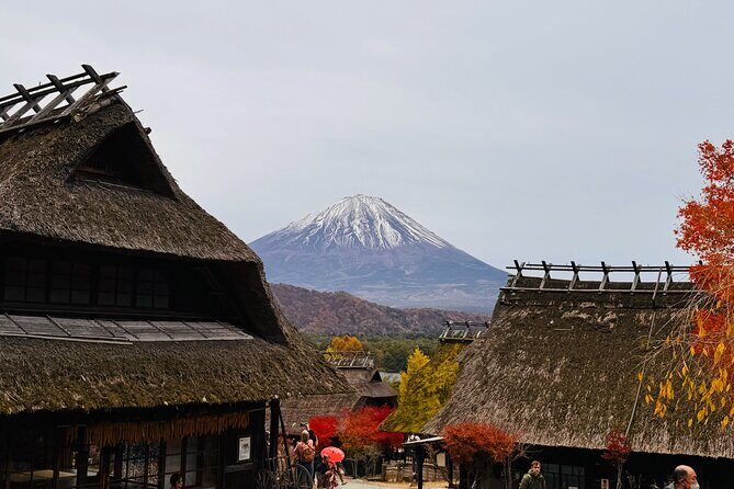 Tokyo: Mt.Fuji & Lake Kawaguchiko 1-Day Bus Tour w/Optional Lunch - Oishi Park: flowers, reflections, and short photo time