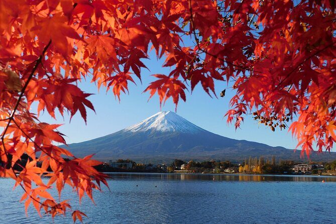 Tokyo: Mt.Fuji & Lake Kawaguchiko 1-Day Bus Tour w/Optional Lunch - Niikurayama Asama Park Observation Deck: bonus effort for a big view