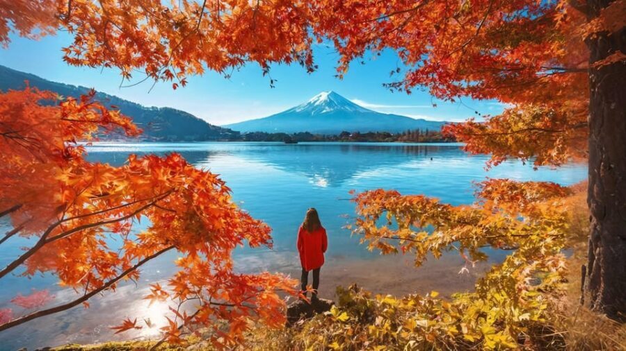 Tokyo: Mt Fuji Lake Kawaguchiko Tour & Arakuyama Sengen Park - What the Bus Time Actually Does for You