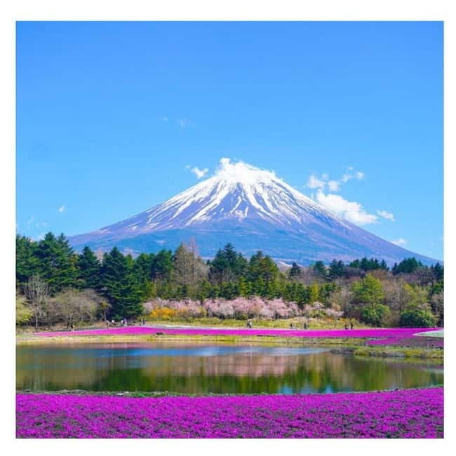 Tokyo: Mt Fuji Private Day Tour By English Driver Low Price - Price and Value: How $344 Works for Up to 6 People