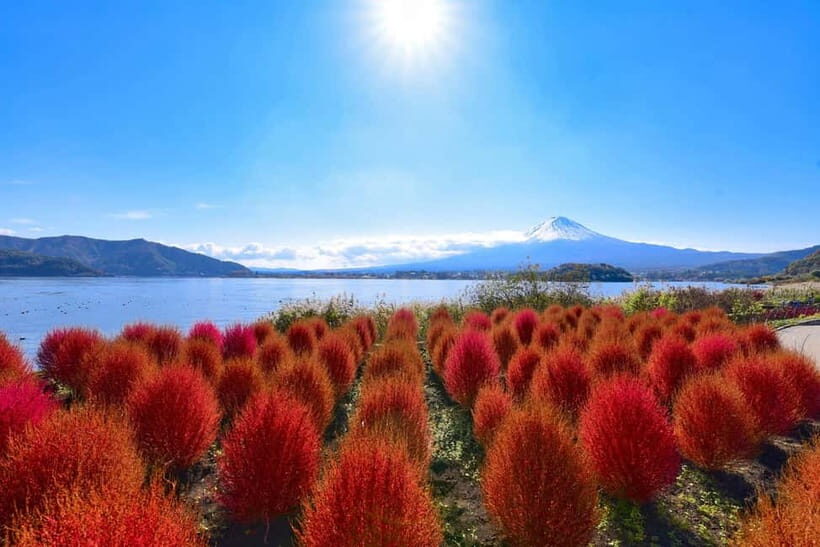 Tokyo:Mt.Fuji,Kawaguchiko Oishi Park,Arakurayama Sengen Park - What the guide adds (and why that matters)