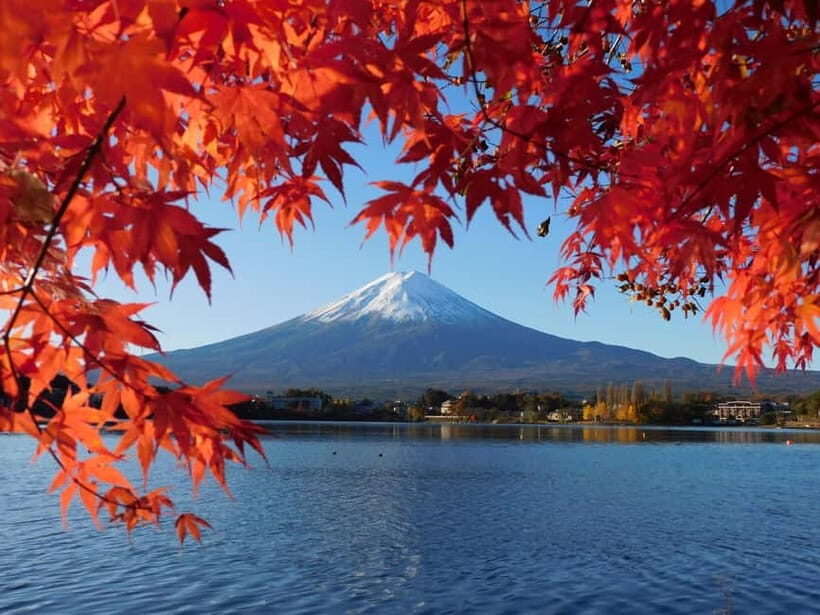 Tokyo:Mt.Fuji,Kawaguchiko Oishi Park,Arakurayama Sengen Park - Arakurayama Sengen Park and Chureito Pagoda: the iconic frame